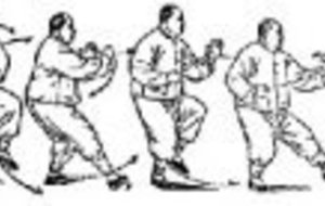 STAGE DE TAIJI QUAN TIAN